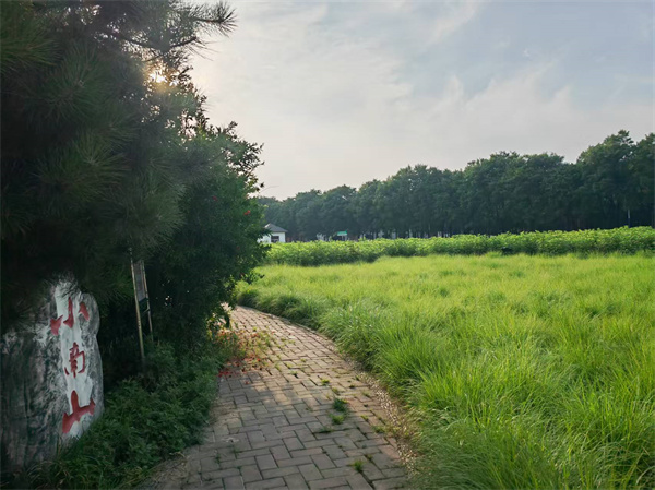 第十名 37王军智-春深草木秀，绿满小南山.jpg